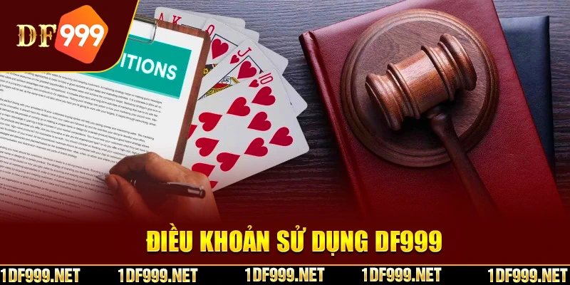 Nội dung quan trọng trong điều khoản điều kiện DF999