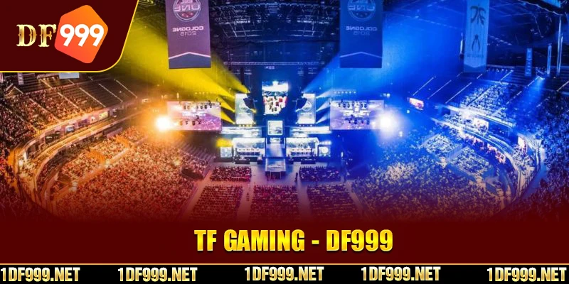 Một số thông tin tổng quan nhất về sảnh cược TF Gaming